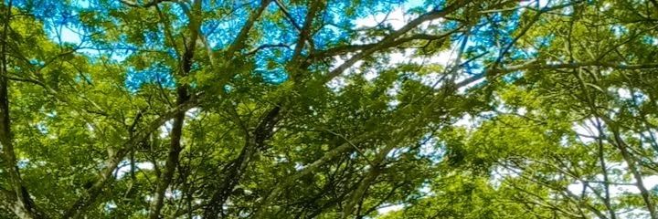 velovitha's profile banner image