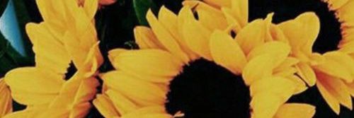 xqueenofthedark's profile banner image