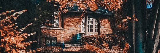 aIexvvause's profile banner image