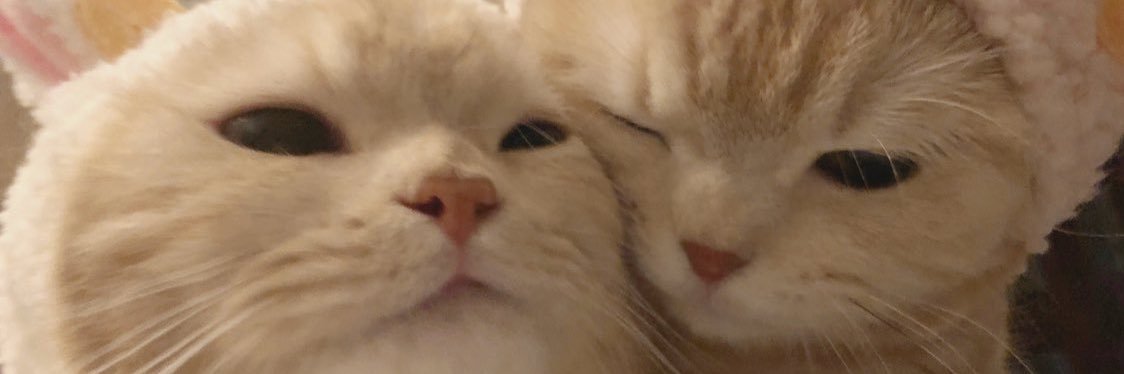 sandytranz's profile banner image