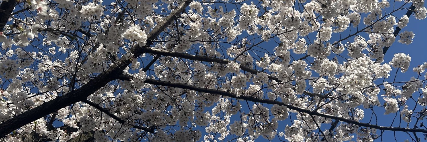 ねぎとろ♪🍡🍡🍡 banner