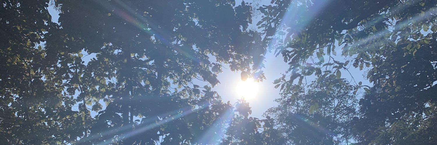 adispillstea's profile banner image