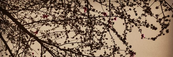 Vallari812's profile banner image