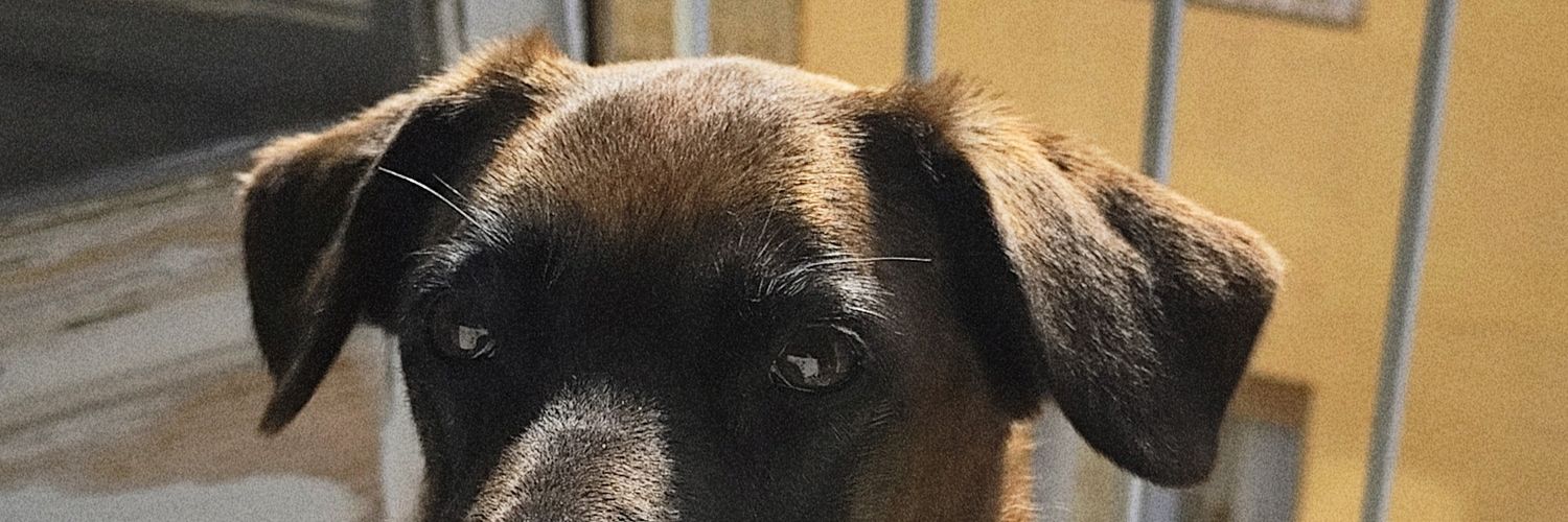 _nadiavgb's profile banner image