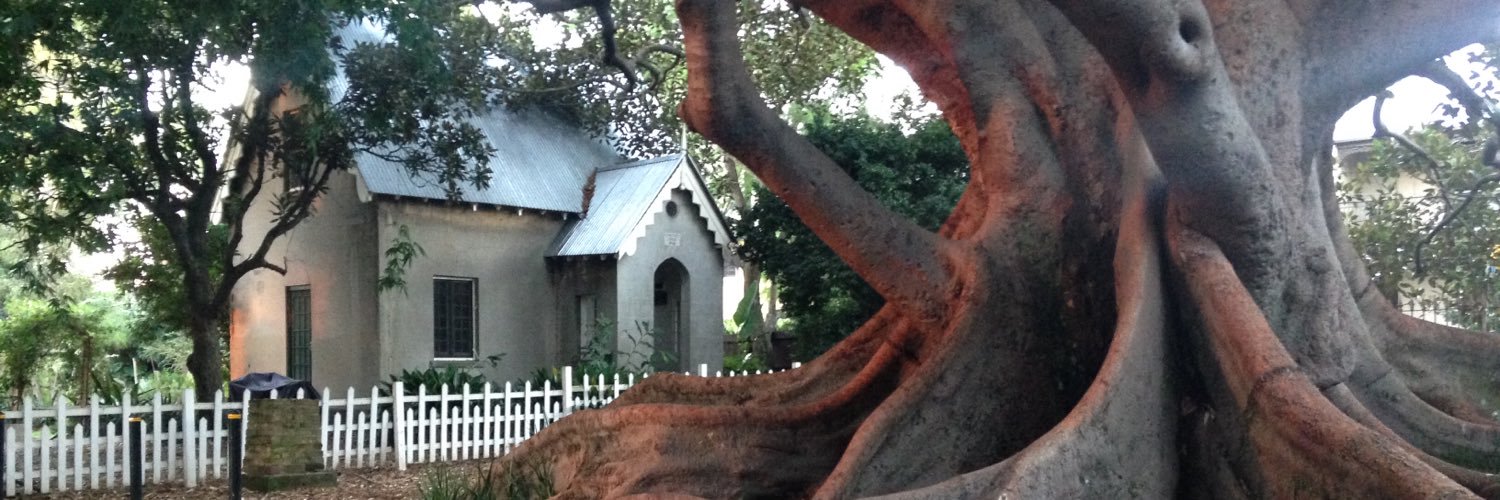 branchesoftime's profile banner image