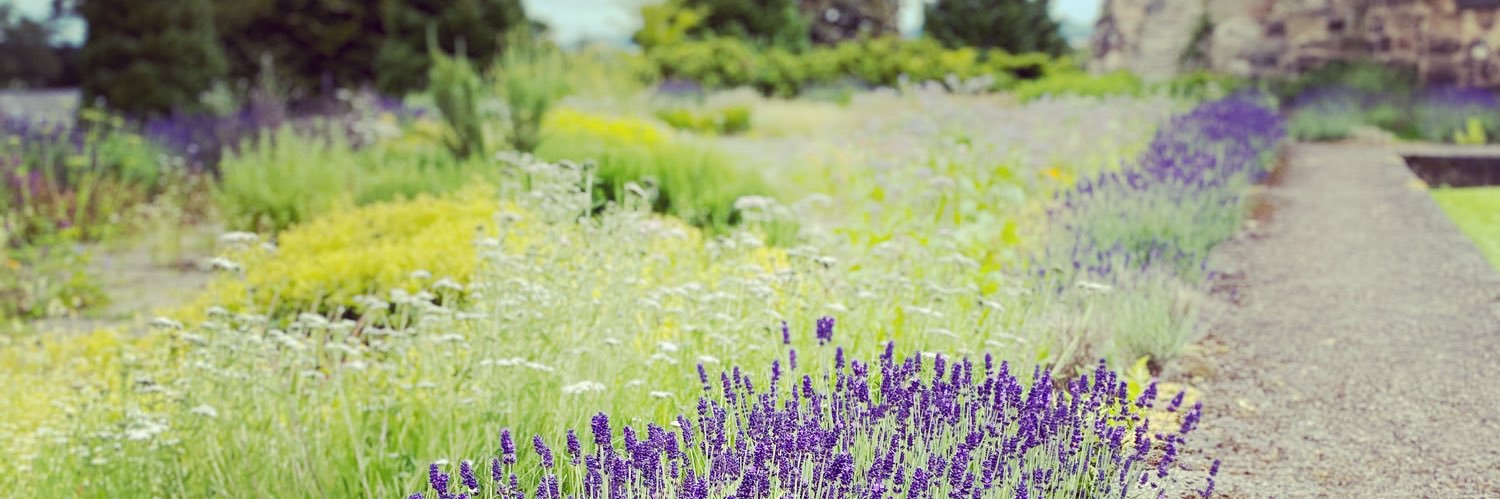 Claire MacKay banner
