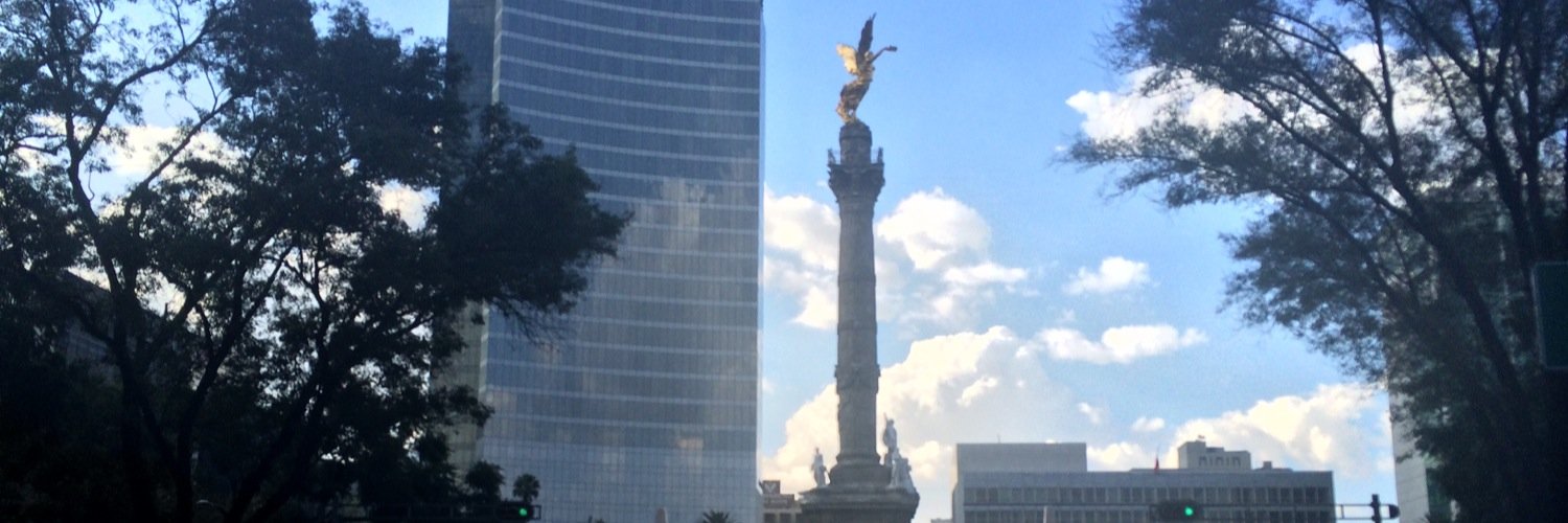 Alma Martínez banner