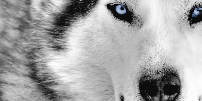 emreh94's profile banner image
