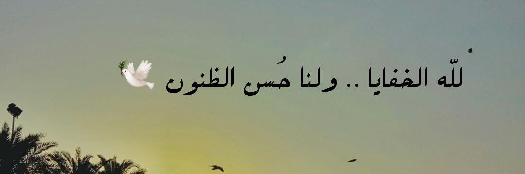 mof_2015's profile banner image