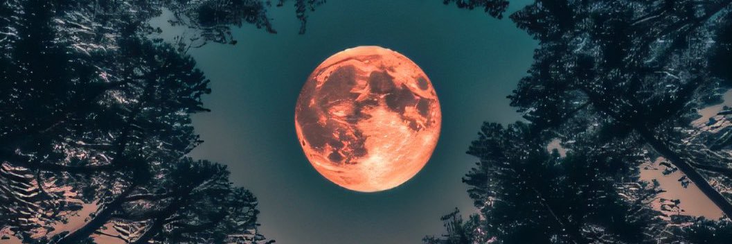 unprofemas_'s profile banner image