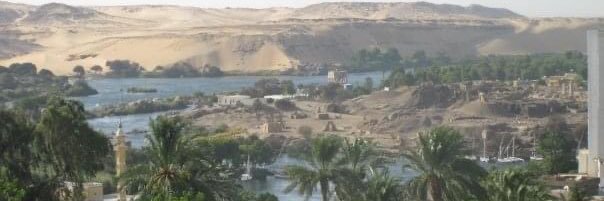 Llama Llama Family Law Drama banner