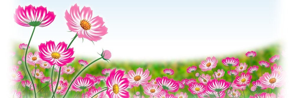 maruko_premium's profile banner image