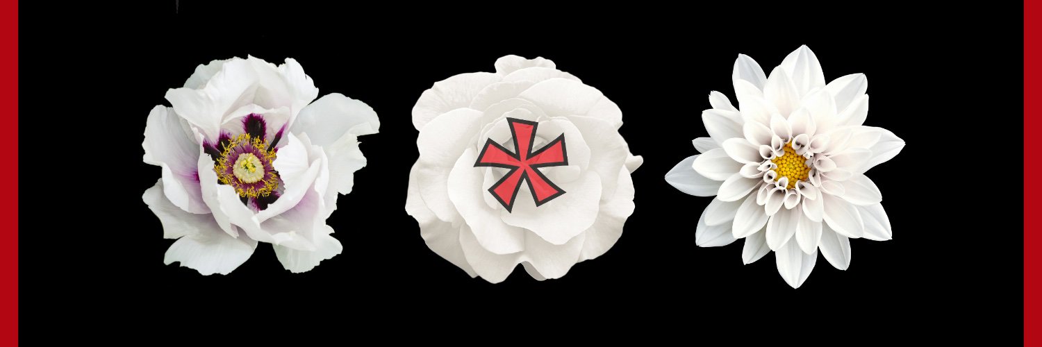 BullHeadDed's profile banner image