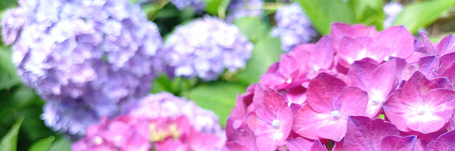 ossan_fk's profile banner image
