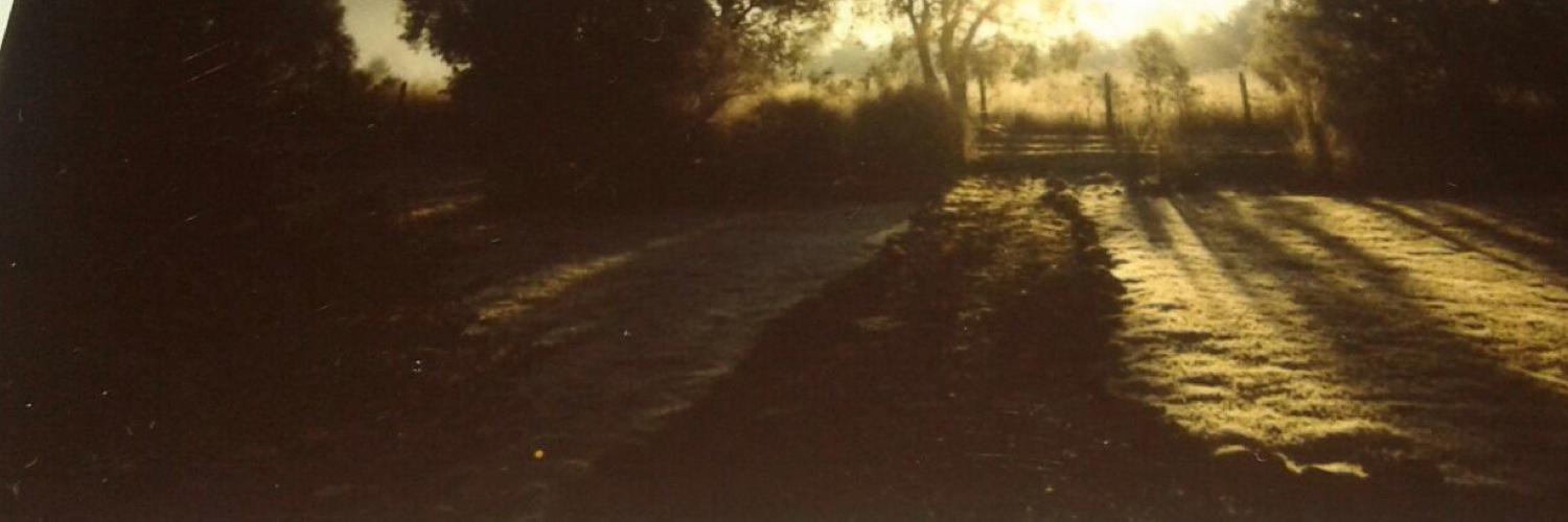 EstefiLopVidal's profile banner image