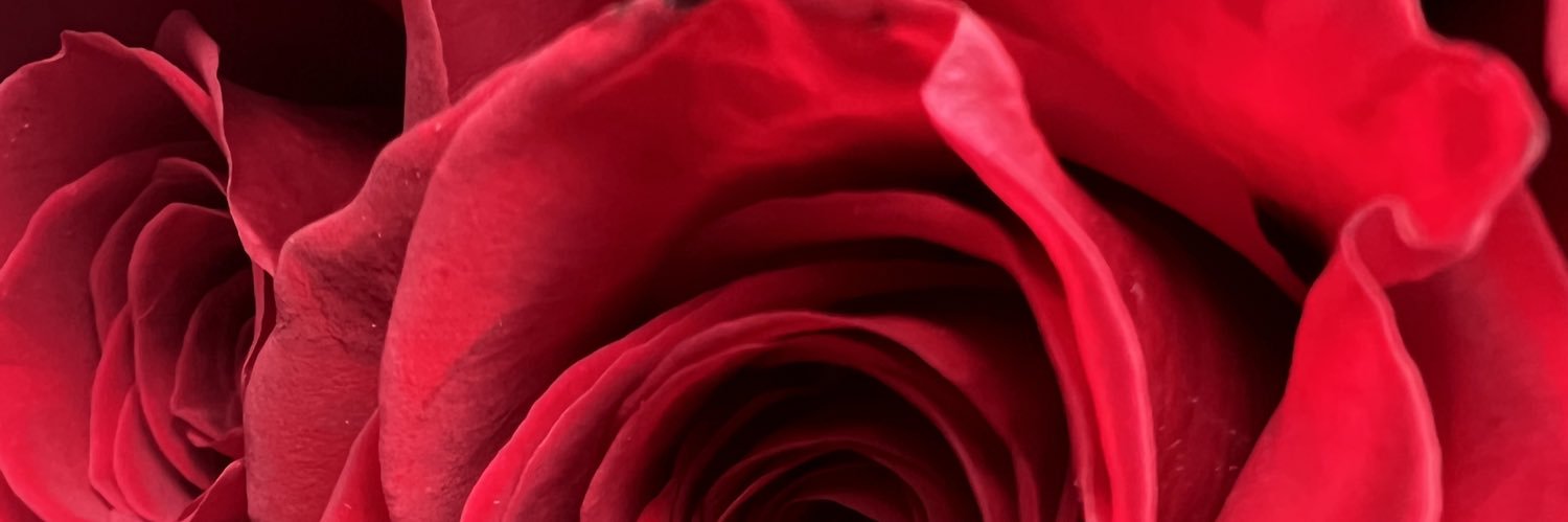 tammy436's profile banner image