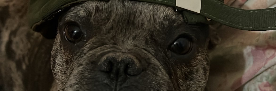 CamiContrera7's profile banner image