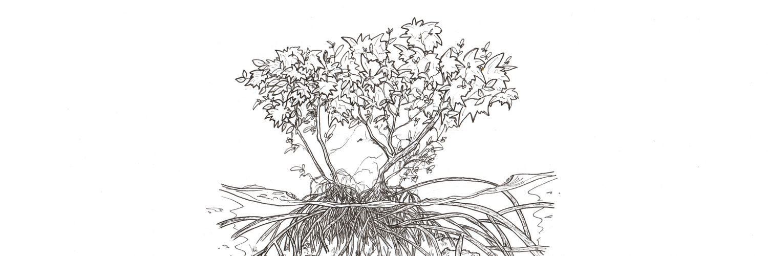 rubynej's profile banner image