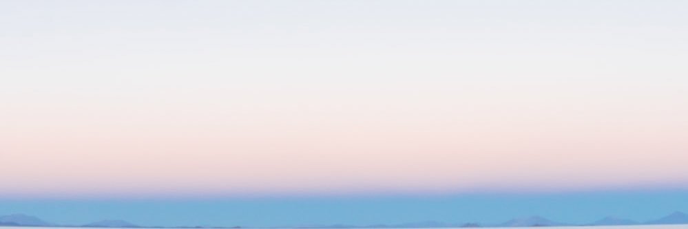 SEIGFRIED banner