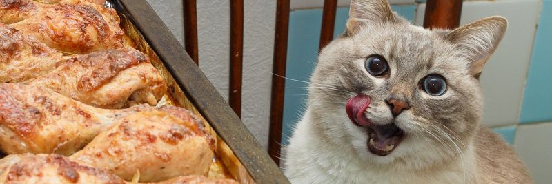 Marcosjlm's profile banner image