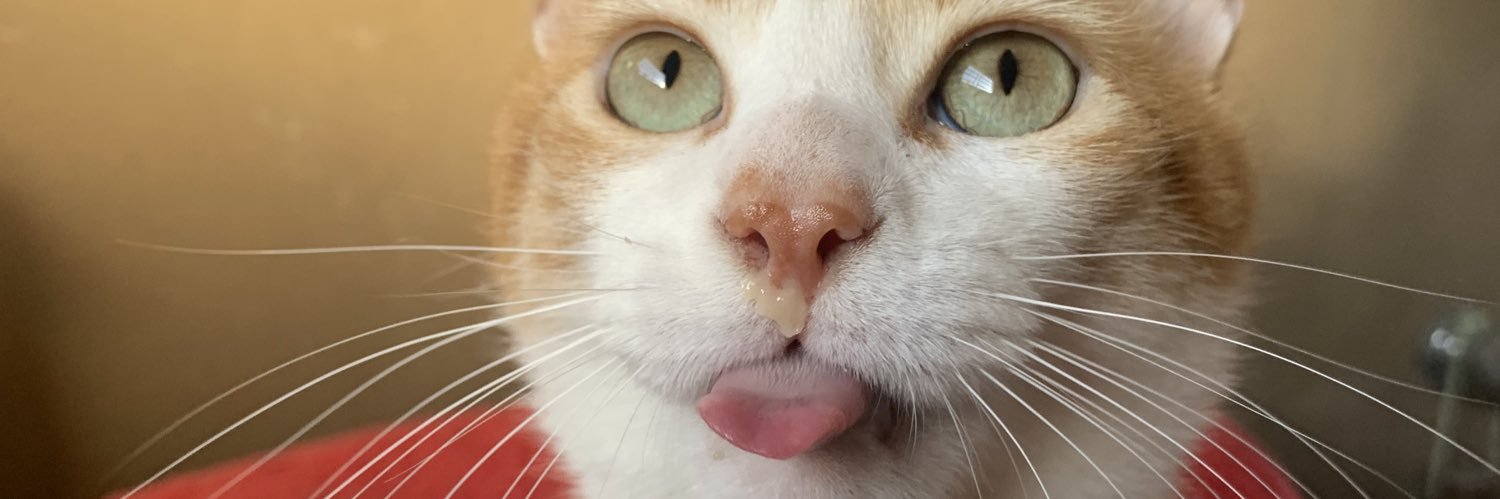 betacossta's profile banner image