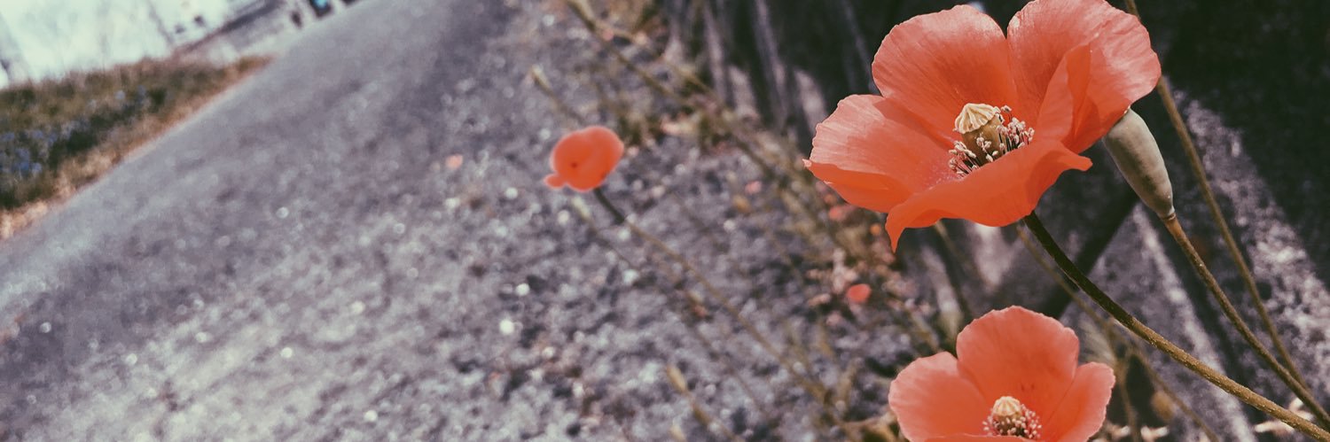 NR__623's profile banner image