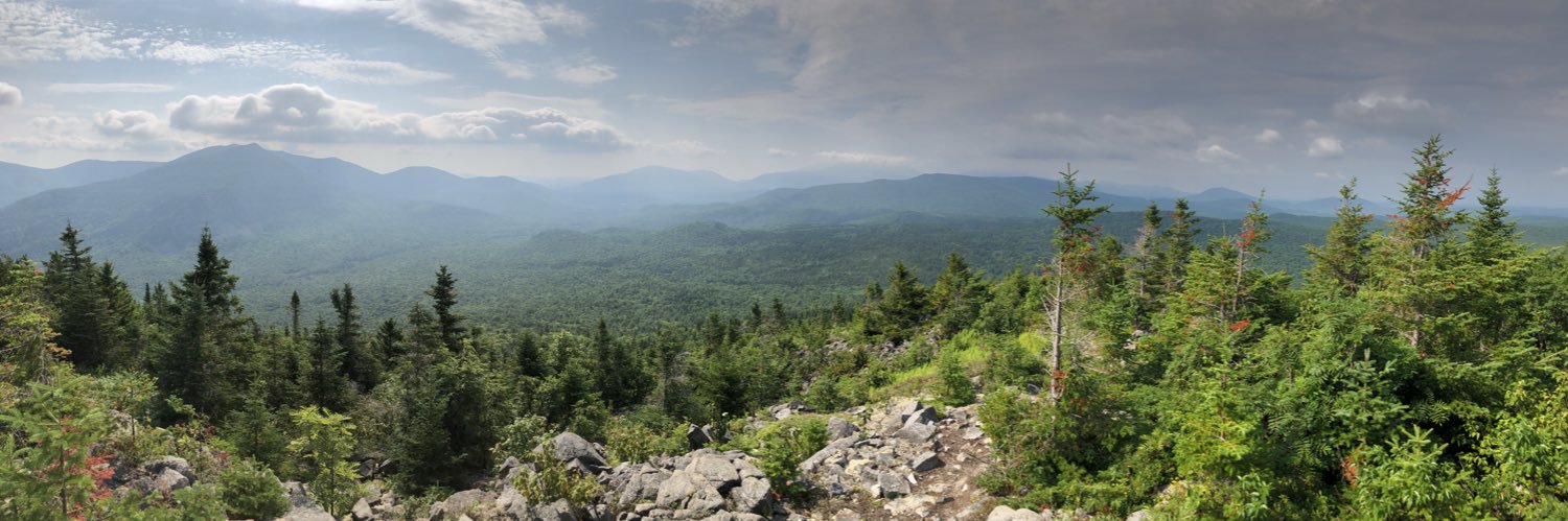 packagemule's profile banner image