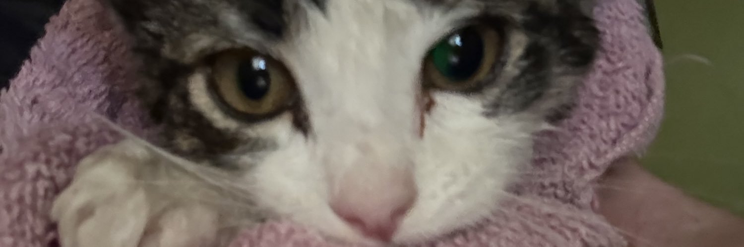 cdcottrell1998's profile banner image
