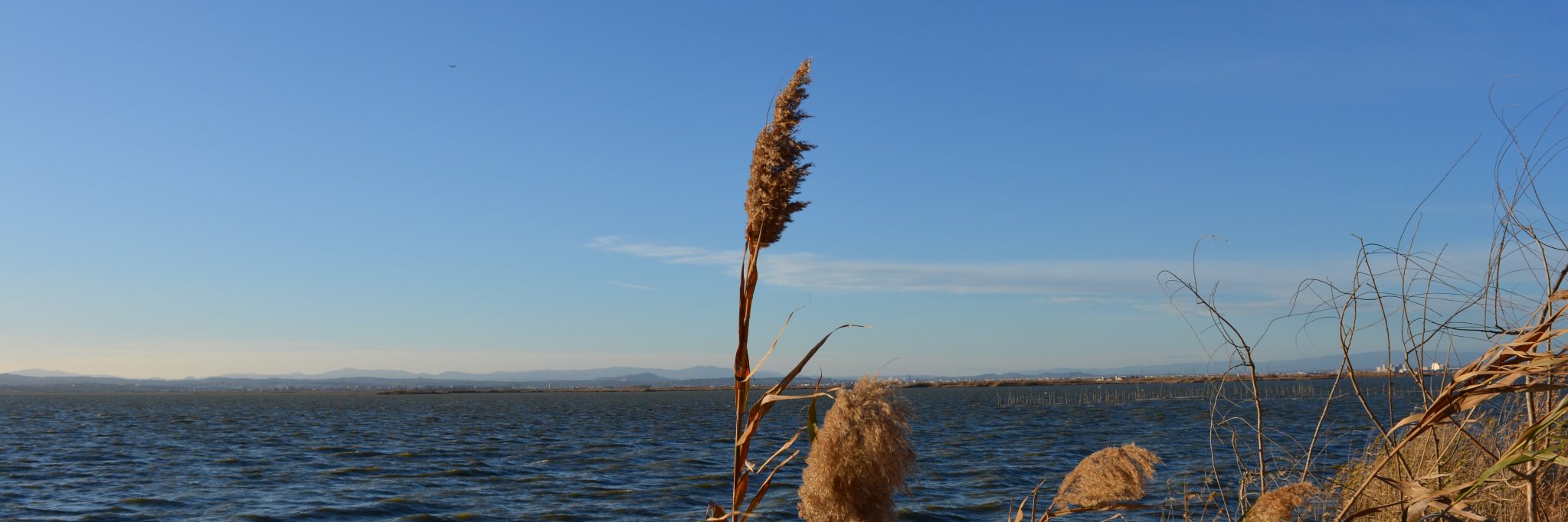 SoledatRubio's profile banner image