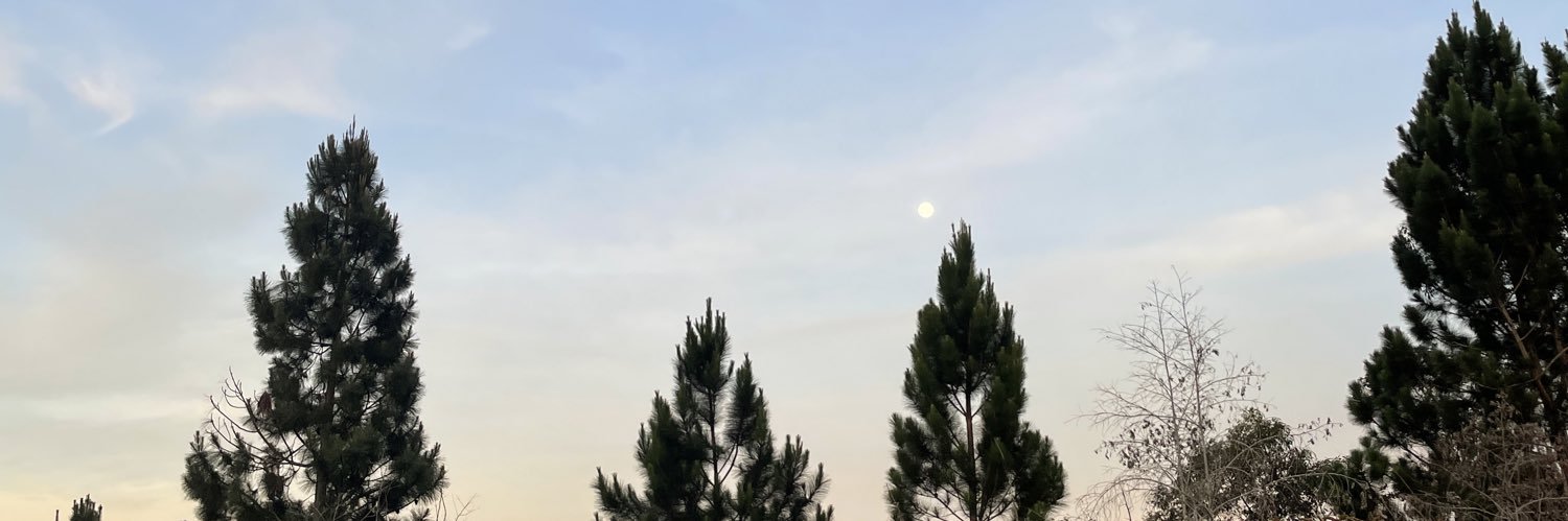 nicollerch's profile banner image