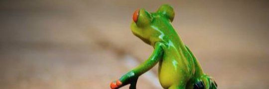 Champ banner