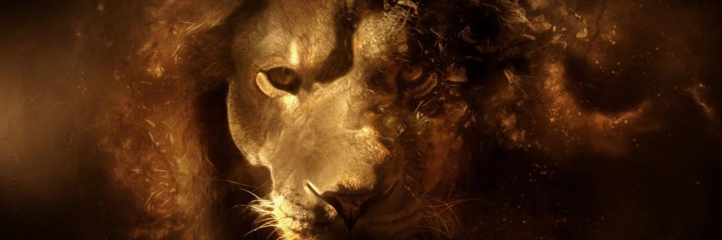 filip_jean's profile banner image