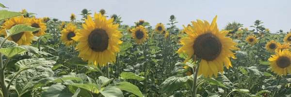 Sian_Griff14 Profile Banner