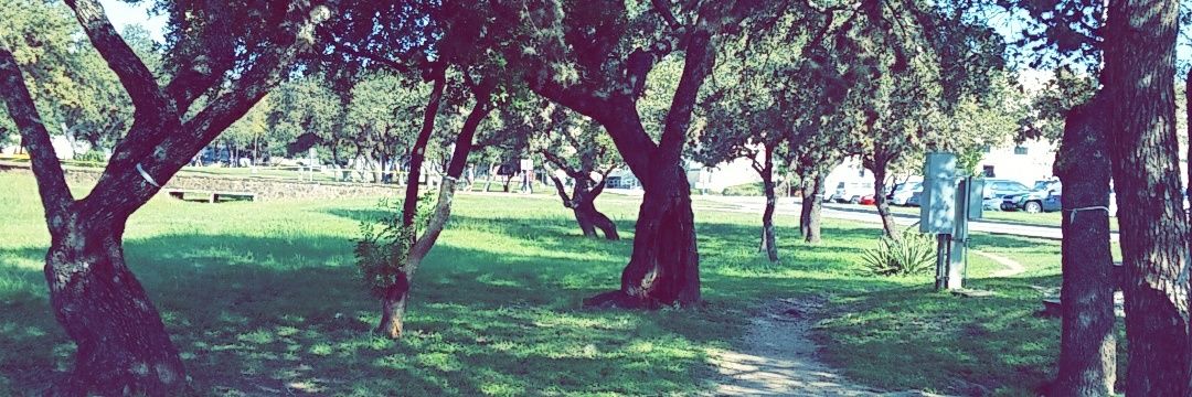 DevinOlvera's profile banner image