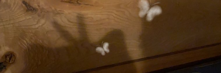 Elinlin10128's profile banner image
