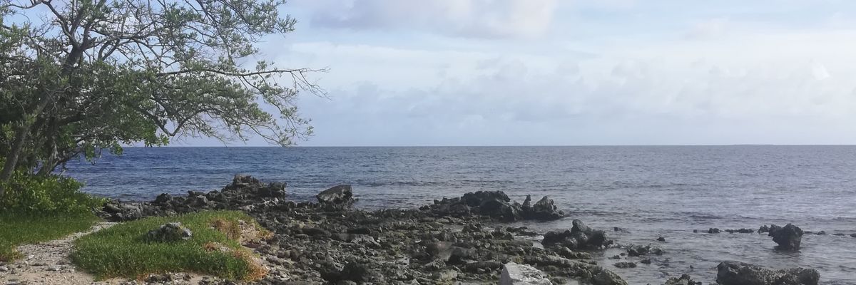 claudio20120's profile banner image