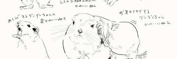 shizunderu Profile Banner