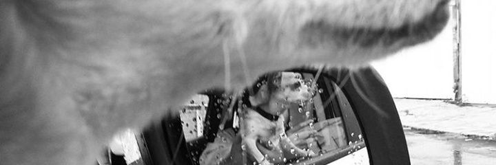 OyeVictoria's profile banner image