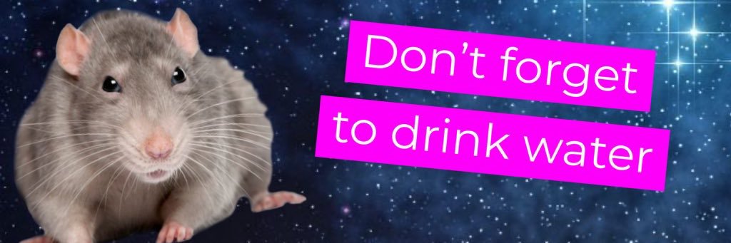 haileyxhess's profile banner image
