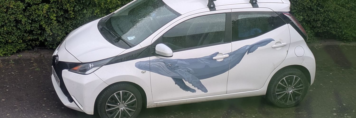 Dolphin.Runner banner