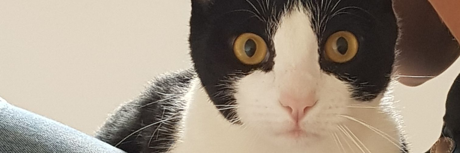 Gabiamarantee's profile banner image