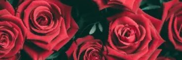 BIGPMD's profile banner image
