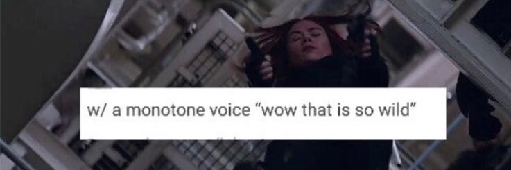 moira rose banner
