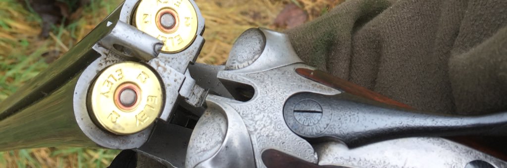 gunworkingdog's profile banner image