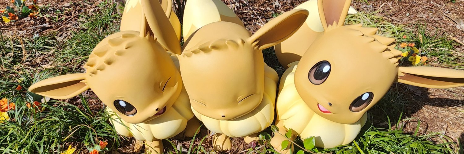 Fiapari's profile banner image