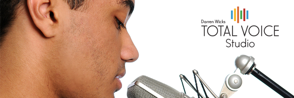 wickstotalvoice Profile Banner