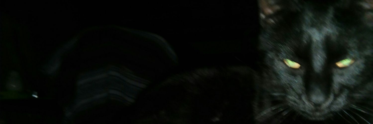 NatalieHicks263's profile banner image
