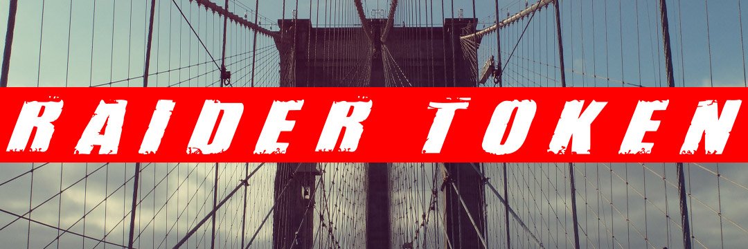 RaidNationLFG's profile banner image