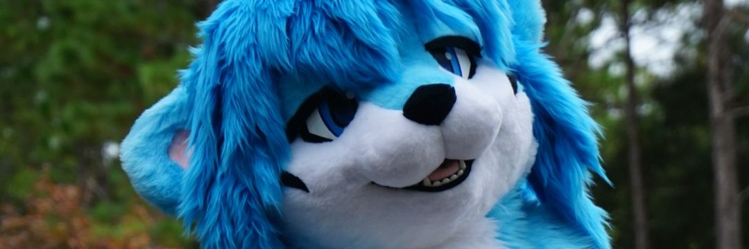 BlueRudder's profile banner image