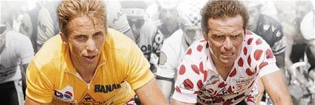 the_badgers88's profile banner image